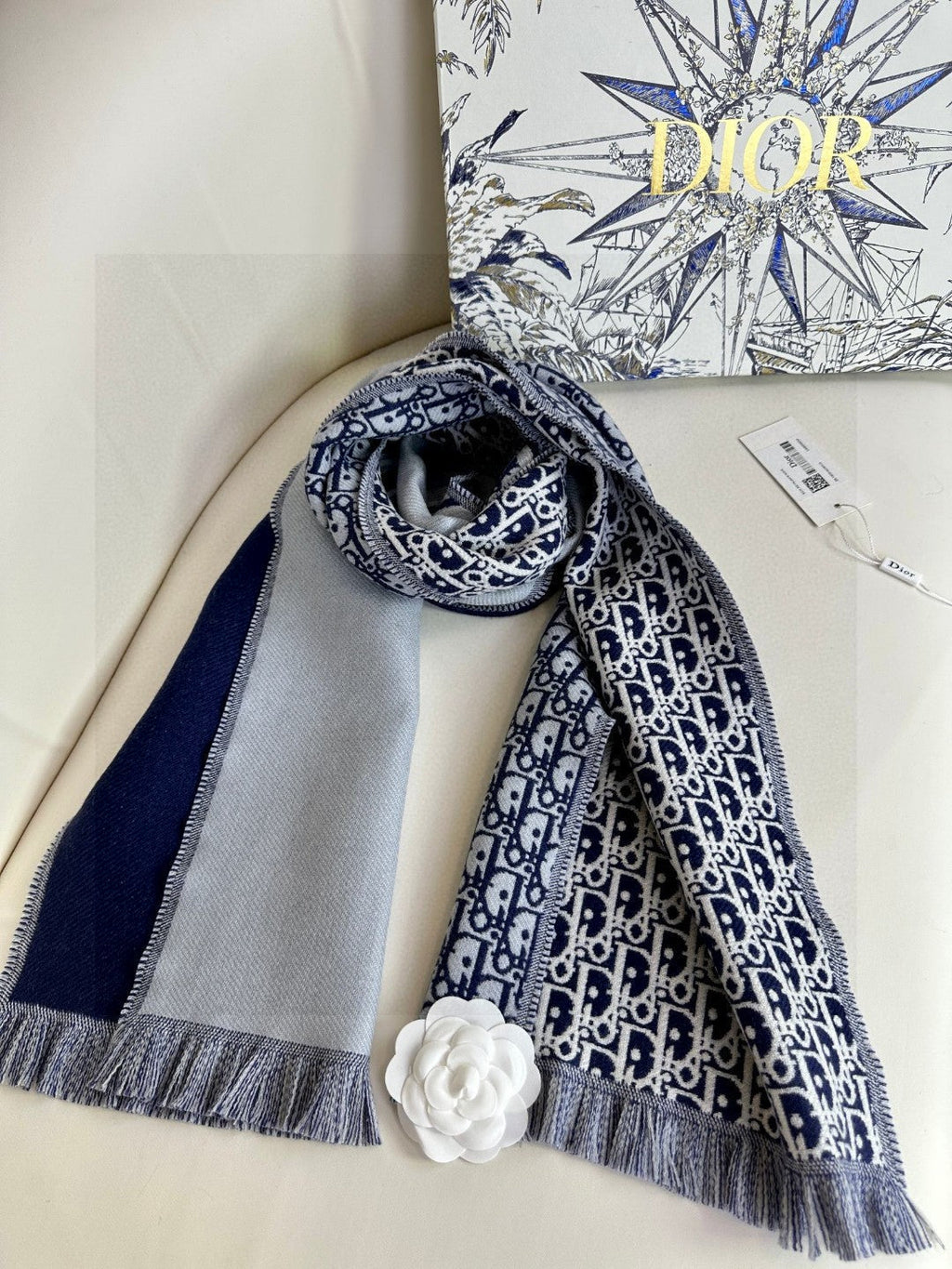 DIOR SCARF 200 CM IN CASHMERE 603607